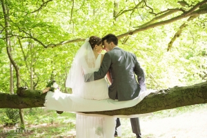 bride-groom-sat-on-a-branch